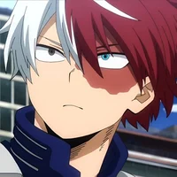 Shoto Todoroki