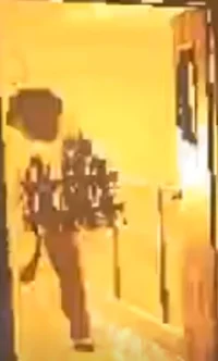 Lethal Company Idiot