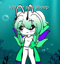 Lea sea sheep