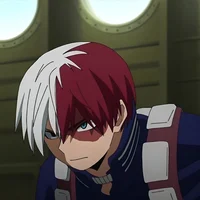 Shoto Todoroki 