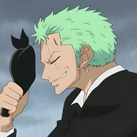 Roronoa Zoro 
