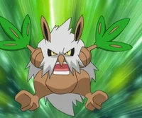 shiftrys secr corner