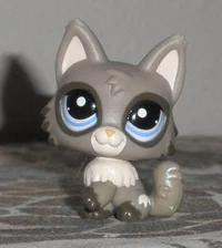 Maxwell- lps wolfcat