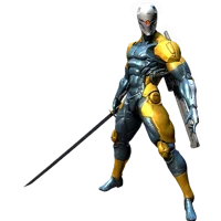 Gray Fox
