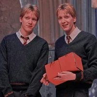 The Weasley Twins