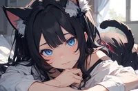 Kuromi the stray cat