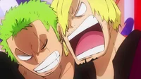 Sanji and Zoro 