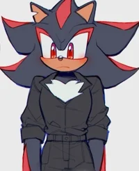 Bodyguard - Shadow