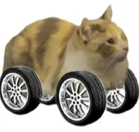 Gato con ruedas 