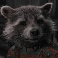 Rocket Raccoon 