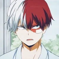 Shoto Todoroki 