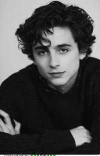 Thimothee Chalamet