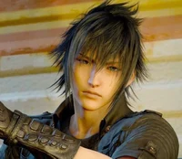 Noctis Lucis Caelum