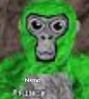 Namo Gorilla Tag