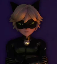 Chat Noir Ladybug