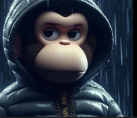 Hood curious George