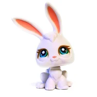 Connor- lps rabbit