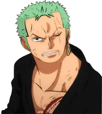 Swordsman Zoro Skull