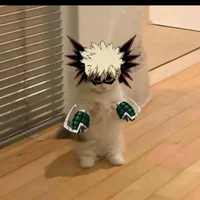 1-Cat bakugo