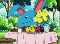 Azumarill Pichu Bros