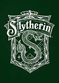 Slytherin group