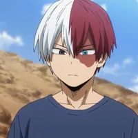 Shoto Todoroki 