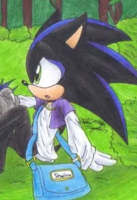 Shallow the hedgehog