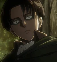 Levi Ackerman