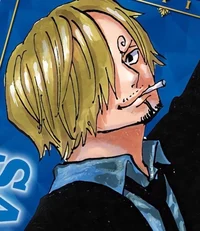 -Cooking with Sanji