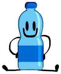 Water Bottle