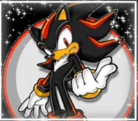 SHADOW THE HEDGEHOG