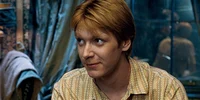 Fred Weasley