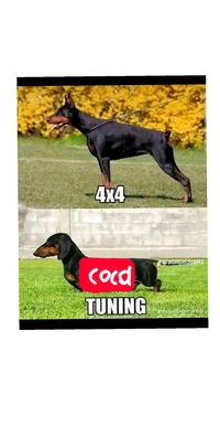 Ideas de no se ideas