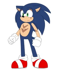 Multiverse Sonic 