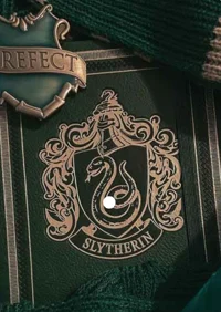 Slytherin boys ESP
