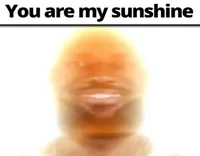 You Are My Sunshine 