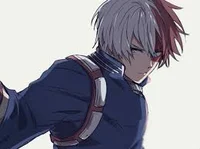 Shoto Todoroki 
