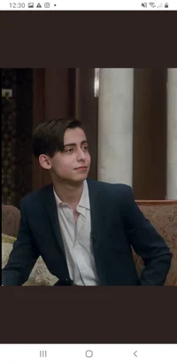 Aidan gallagher 
