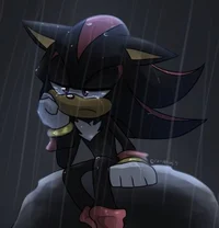Shadow -SAD RP-