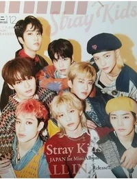 Stray kids-bl 