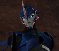 Arcee TFP
