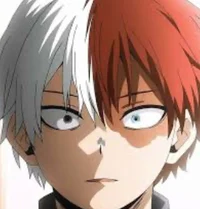 Todoroki shoto