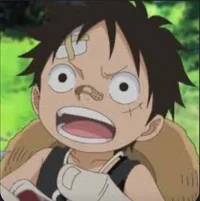 Baby luffy