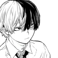 Shoto Todoroki