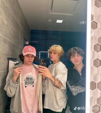 Sturniolo triplets 