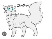 CloudTail
