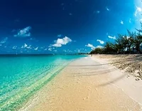 trapped on an island