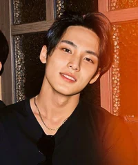 Kim Mingyu 
