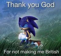 Grateful Sonic