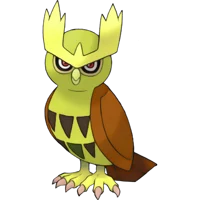 Duo the Noctowl